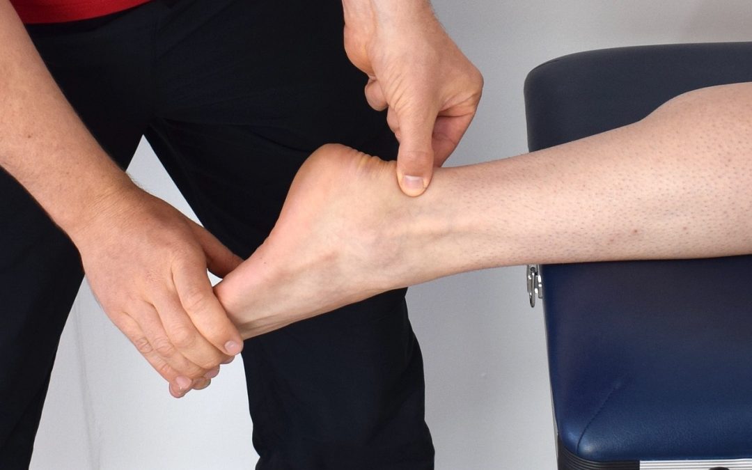 Keeping Tendons Healthy as We Age