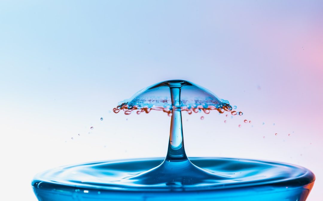 Chrono-Hydration: Timing Your Water pH Levels for Optimal Health